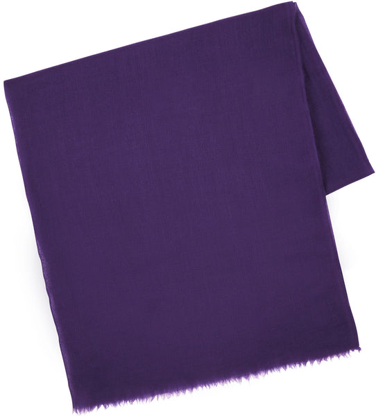 Etro purple cashmere scarf